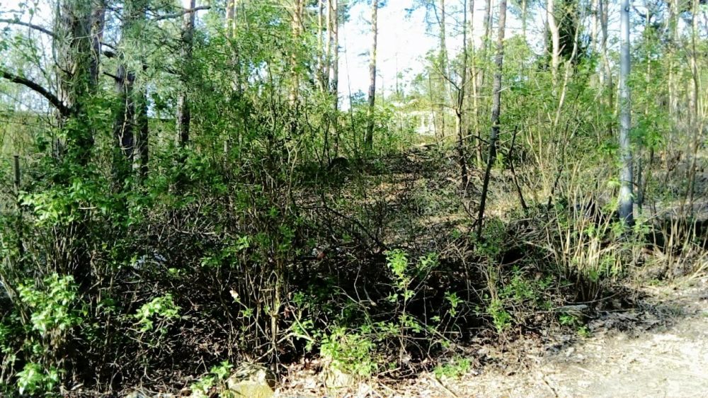 Земельный участок 684м² в Рансдорф, Германия № 35388