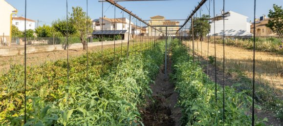 Grundstück in La Zubia, Spain 1060m², Nr. 147538 13