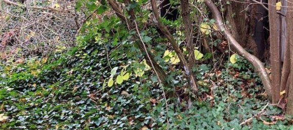 4 rooms House in Salzlandkreis, Germany No. 247977 3