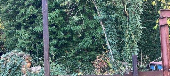 4 rooms House in Salzlandkreis, Germany No. 247977 4