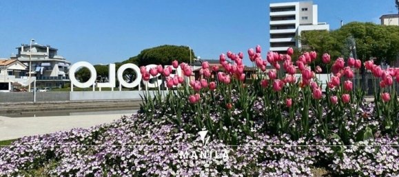 10000m² Building in Jesolo, Italy No. 177225 8