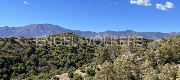  Land in Estepona, Spain No. 25682 12