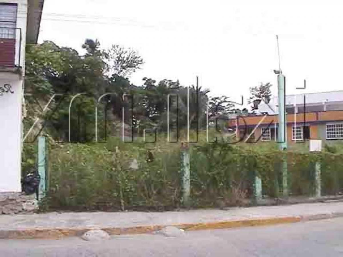  Land in Veracruz, Mexico No. 205311