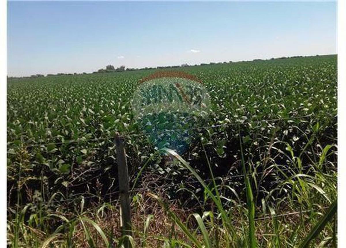 4 bedrooms House in Cordoba, Argentina No. 21309