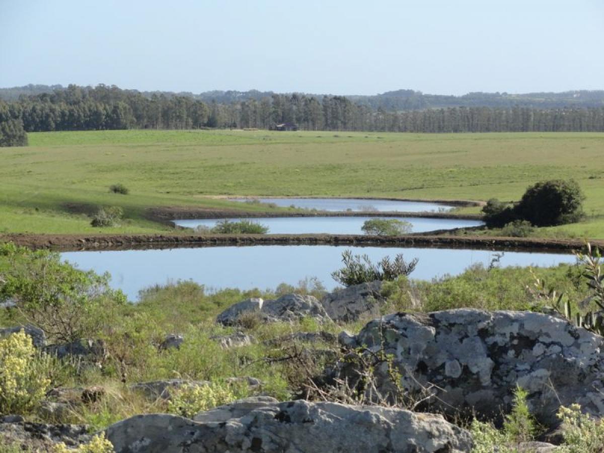 19m² Farm in Maldonado, Uruguay No. 14045
