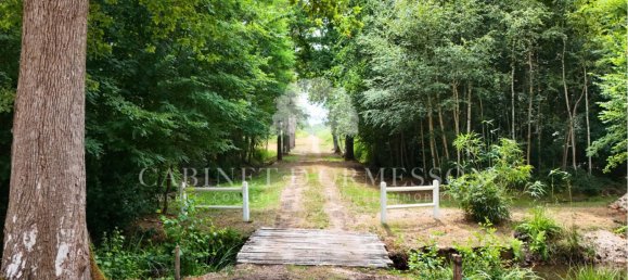 Замки и поместья с 7 спальнями в Сальбри, Франция № 344933 11