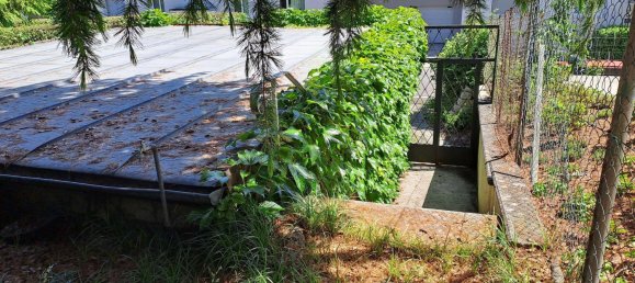 Adosado de 6 habitaciónes en Linz, Austria No. 239711 48