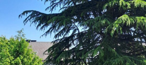 Adosado de 6 habitaciónes en Linz, Austria No. 239711 7