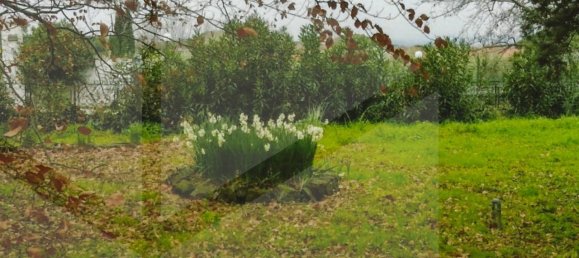 16غرفة منزل في Marino, Italy رقم 20003 37