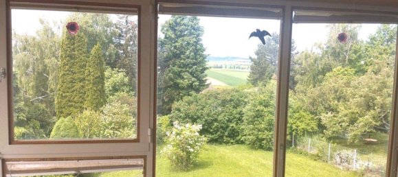 6 rooms House in Harmannsdorf, Austria No. 161266 3