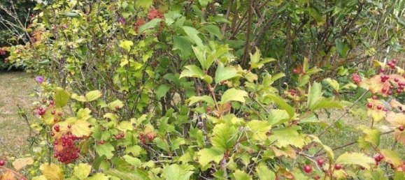 6 rooms House in Harmannsdorf, Austria No. 161266 11