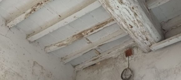 Apartamento de 5 habitaciónes en Massarosa, Italy No. 251536 8