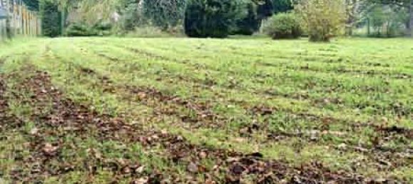 2 bedrooms House in Vendoeuvres, France No. 153863 9