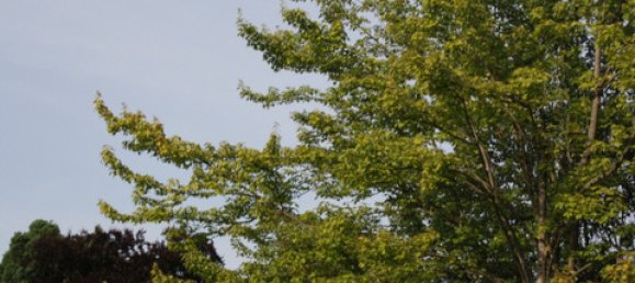 2غرفة شقة في Karlsruhe, Germany رقم 325710 10