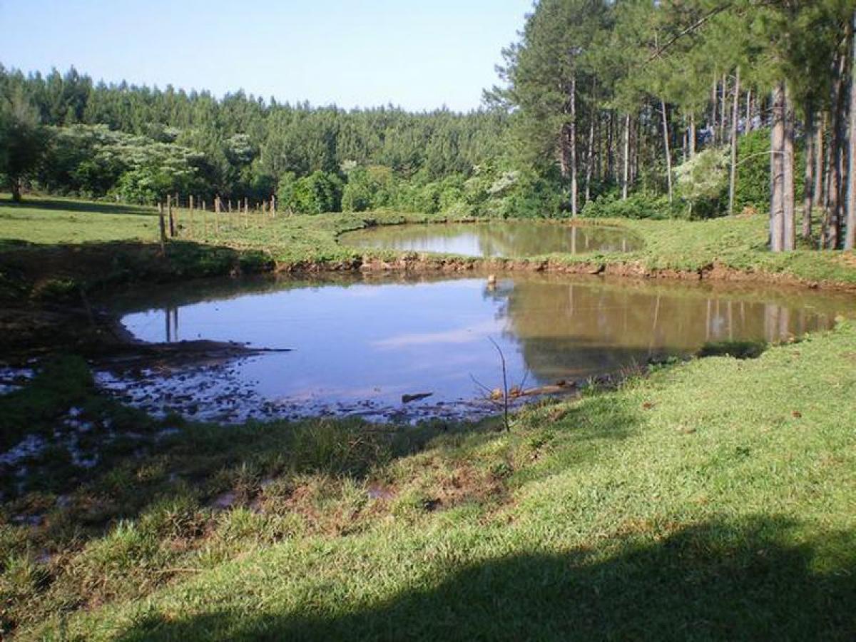  Land in Misiones, Argentina No. 44653
