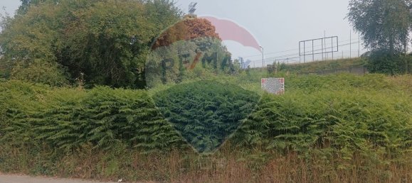 960m² Land in Freamunde, Portugal No. 67049 4