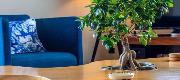 3 غرف نوم فيلا في Kalyvia Thorikou, Greece رقم 4523 4