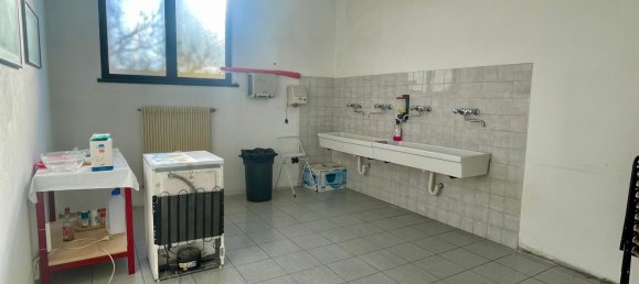  مستودع في Belluno, Italy 1430متر مربع رقم 137242 23