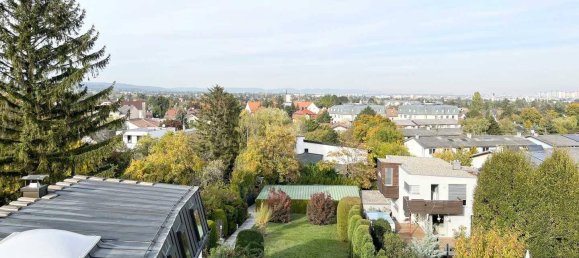 13-Zimmer Villa in Perchtoldsdorf, Austria, Nr. 92945 4