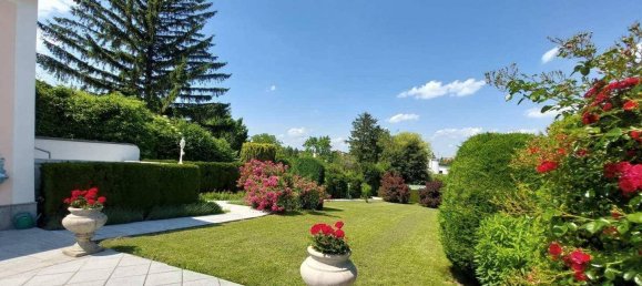 13-Zimmer Villa in Perchtoldsdorf, Austria, Nr. 92945 11
