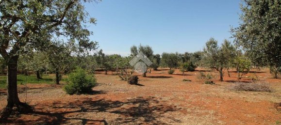 1 chambre Maison à Ostuni, Italy No. 217203 10