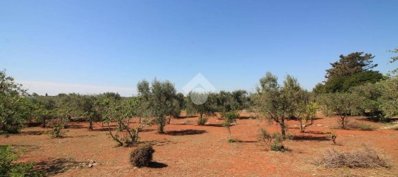 1 chambre Maison à Ostuni, Italy No. 217203 9