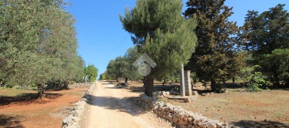 1 chambre Maison à Ostuni, Italy No. 217203 14