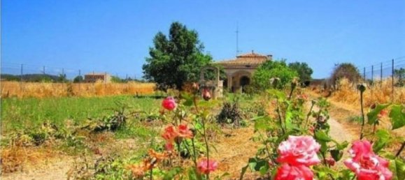 3 bedrooms Villa in Mallorca, Spain No. 14166 5