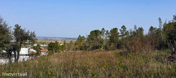 8800m² Land in Coimbra, Portugal No. 85622 3