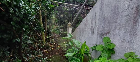 1 Schlafzimmer Haus in Santa Cruz das Flores, Portugal, Nr. 29744 4