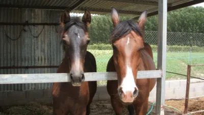 Casa de 5 dormitorios en Fuente Vaqueros, Spain No. 92983