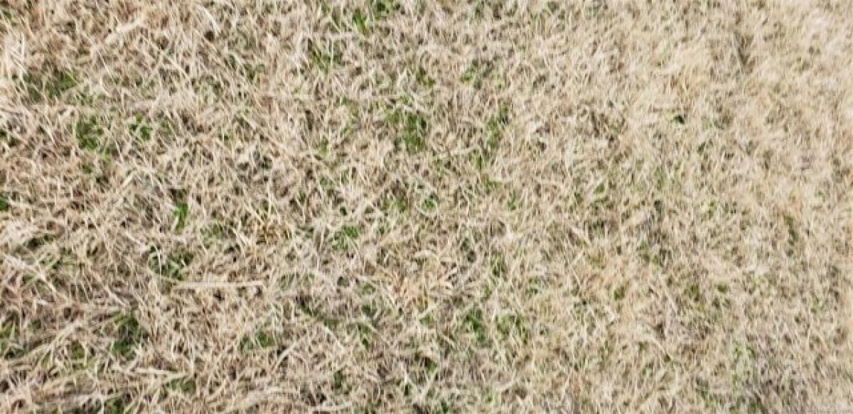  Land in Broken Arrow, USA No. 482205