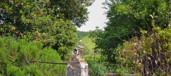 13-Zimmer Haus in Allerona, Italy, Nr. 168085 18