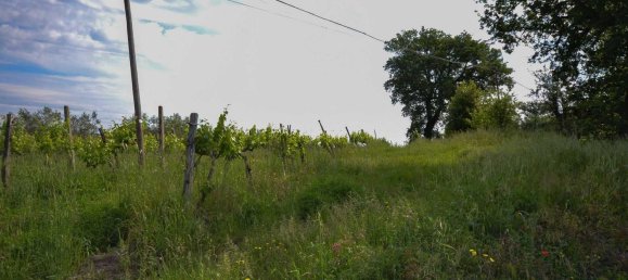 13-Zimmer Haus in Allerona, Italy, Nr. 168085 15