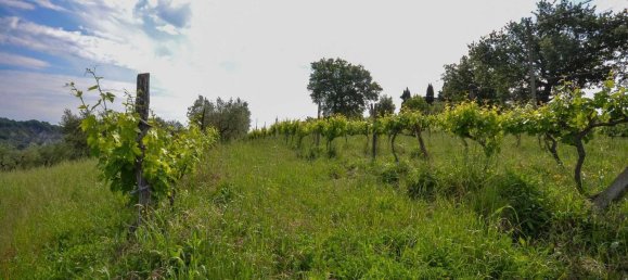 13-Zimmer Haus in Allerona, Italy, Nr. 168085 12