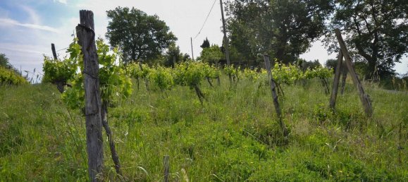 13-Zimmer Haus in Allerona, Italy, Nr. 168085 14