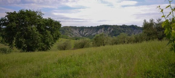 13-Zimmer Haus in Allerona, Italy, Nr. 168085 11