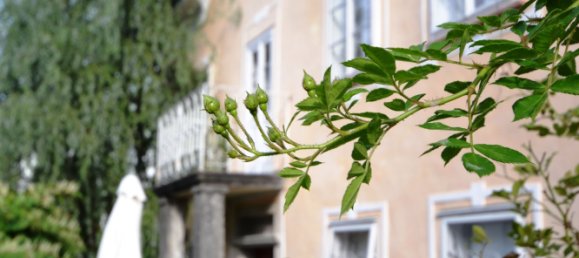 8-Zimmer Villa in Salzburg, Austria, Nr. 182370 3