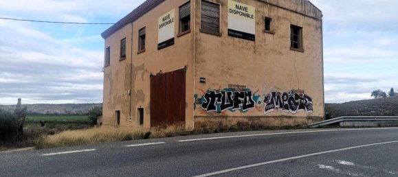 314m² Warehouse in Chartered Community of Navarre, Spain No. 84900 5