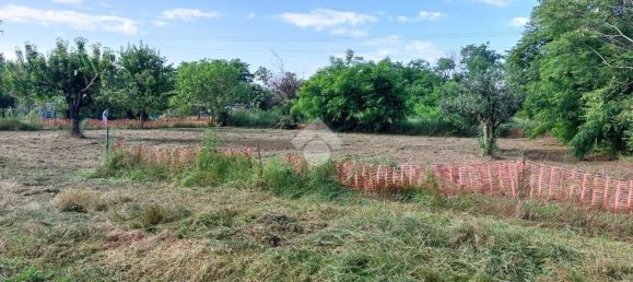 Grundstück in Rivalta di Torino, Italy 1200m², Nr. 62941 12