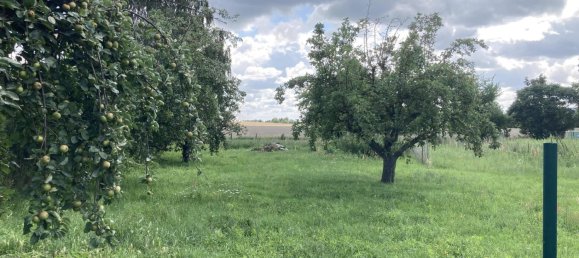 4 غرف نوم شقة في Havelland, Germany رقم 269613 25