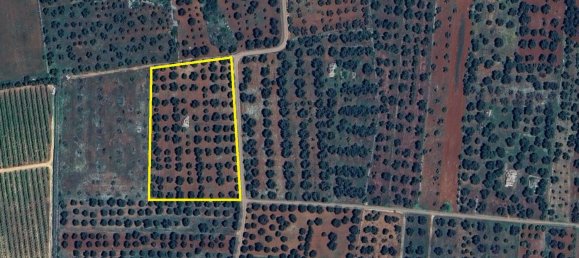 2-salle Maison à San Michele Salentino, Italy No. 85465 23