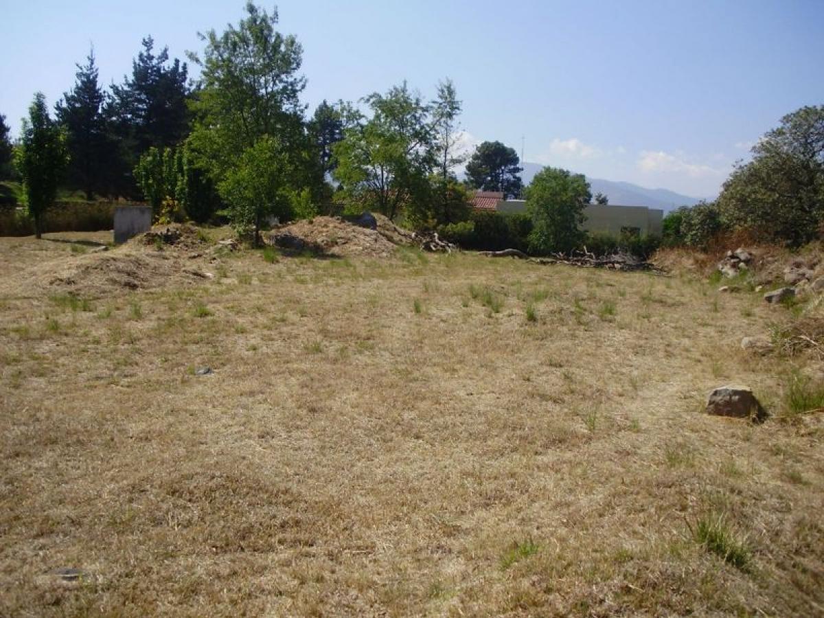 Land in Lerma, Mexico No. 204957