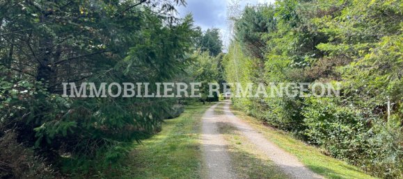 5 Schlafzimmer Haus in Lamotte-Beuvron, France, Nr. 234659 8