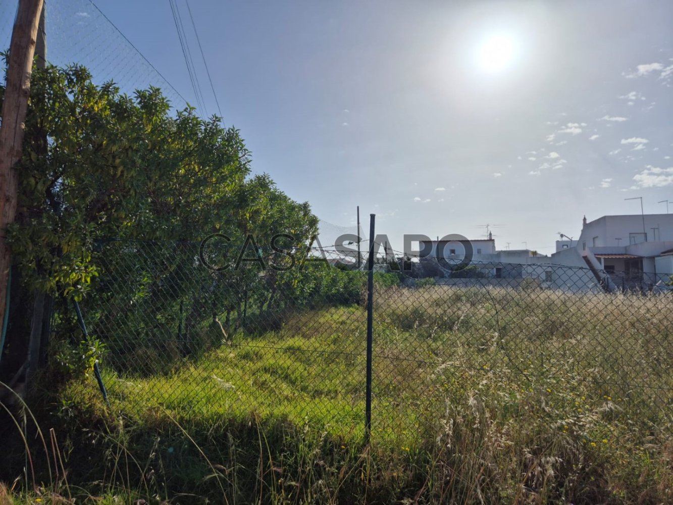 Terreno em Montenegro, Portugal 800 m² N.º 202614