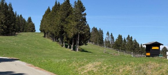 3-Zimmer Wohnung in Lobmingtal, Austria, Nr. 182957 4