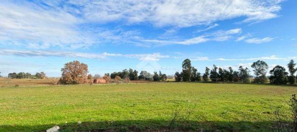 8 bedrooms House in Vetralla, Italy No. 381775 31