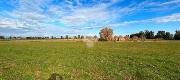 8 bedrooms House in Vetralla, Italy No. 381775 24