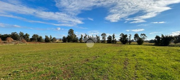 8 bedrooms House in Vetralla, Italy No. 381775 32