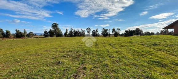 8 bedrooms House in Vetralla, Italy No. 381775 18